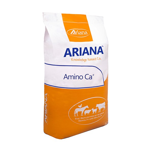 Amino Ca