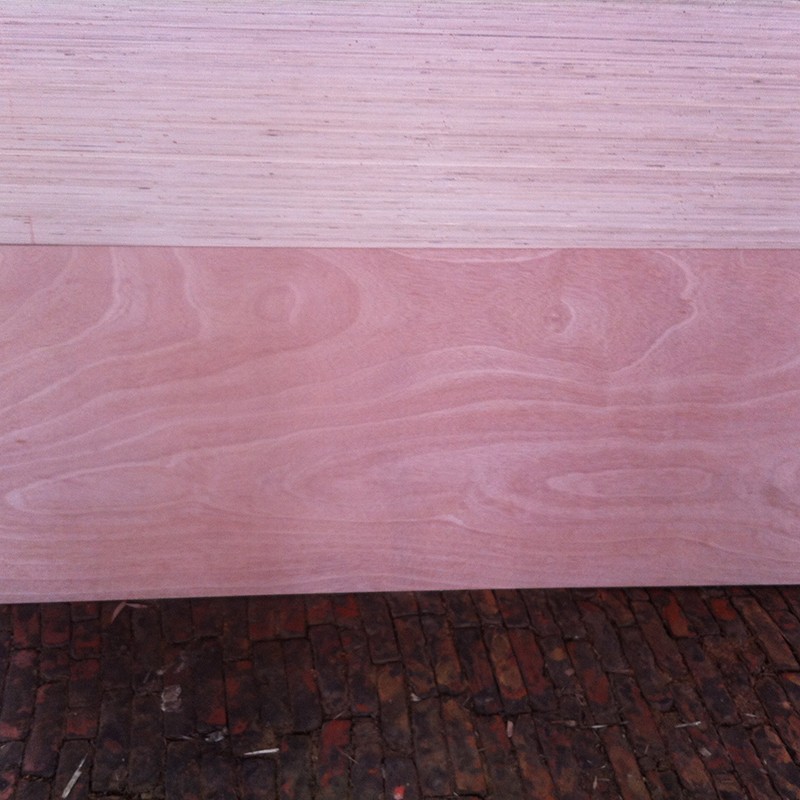 door skin plywood (6)
