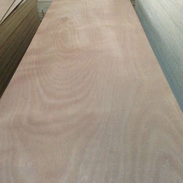 door skin plywood (5)