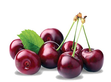 کنسانتره آلبالو