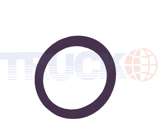 اورینگ واسط دوشی آب (سیلیکونی و NBR)