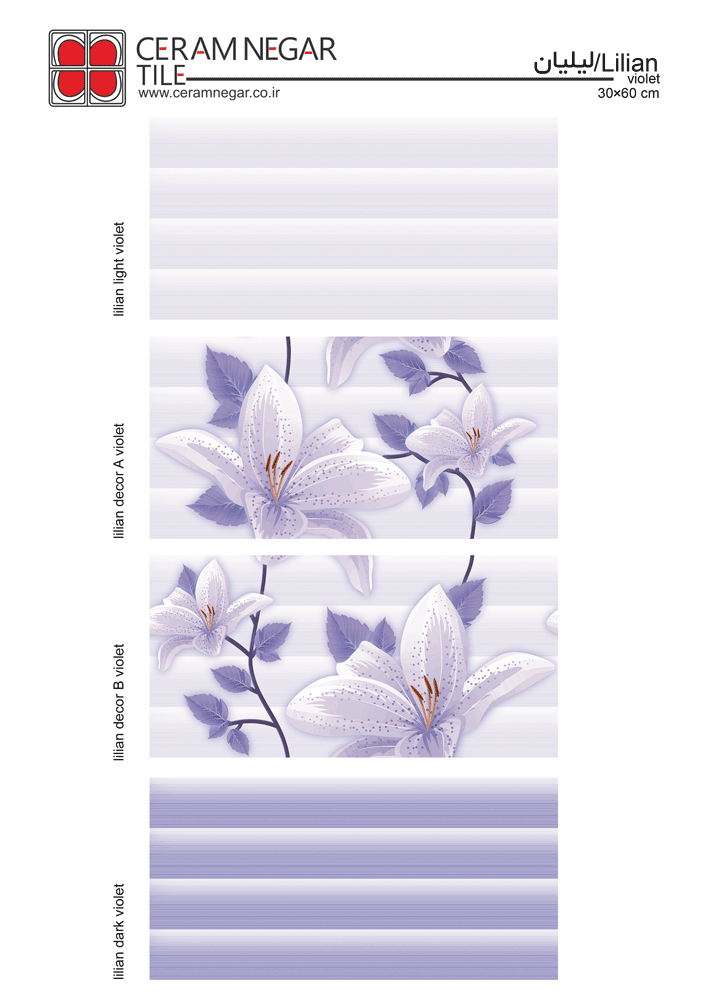 Lilian 30×60 violet shiny
