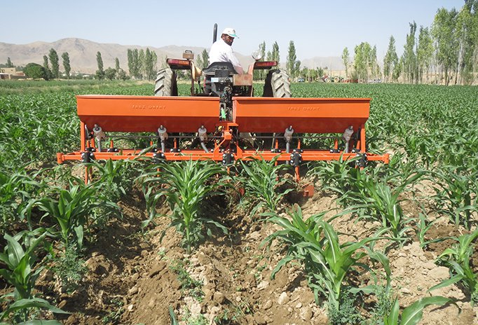 Cultivator, Fertilizer, Furrower CF5-CF6