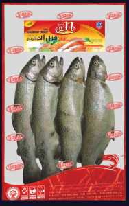 Fresh salmon on an empty stomach