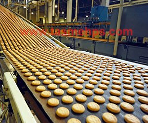 Conveyor belt p.v.c