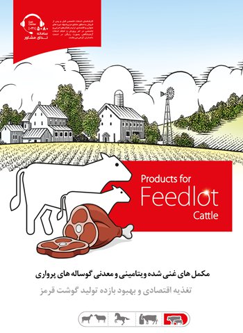 Enriched vitamin and mineral supplement for beef cattle