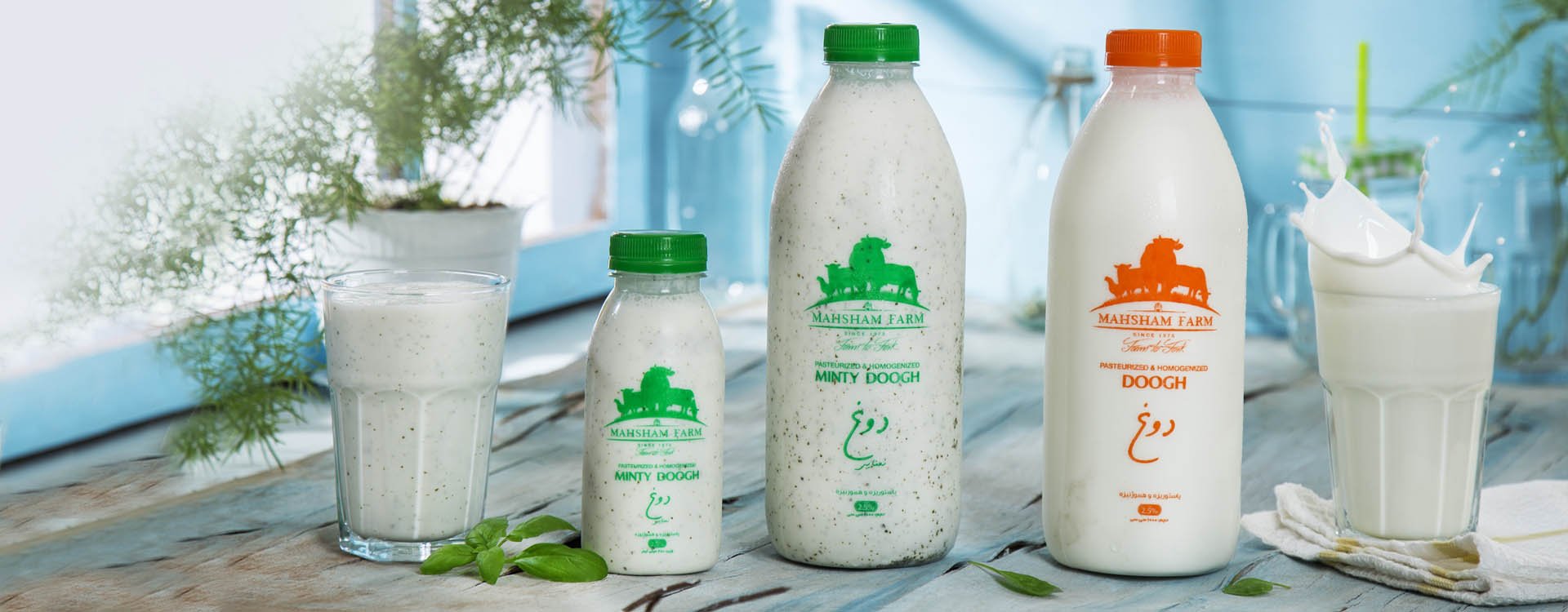 انواع دوغ‌ها