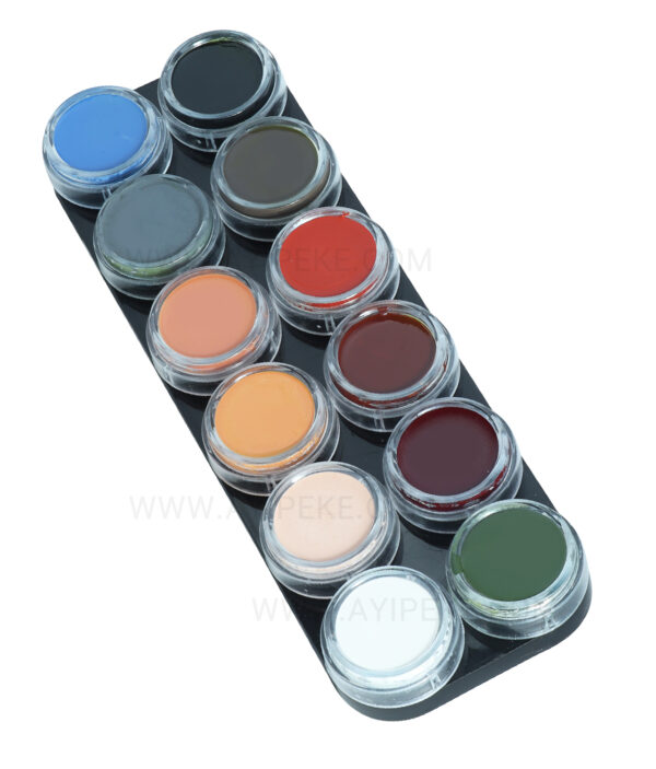 پالت سایه چرب 12 رنگ هانتین