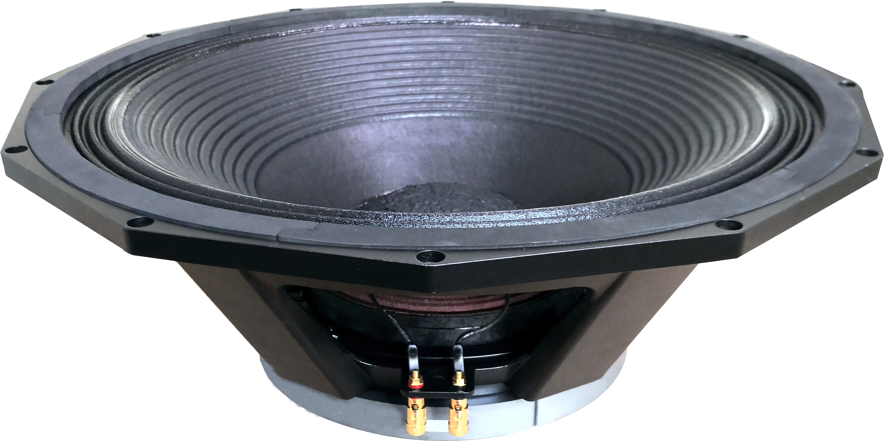 L21/8623 21inch Speaker
