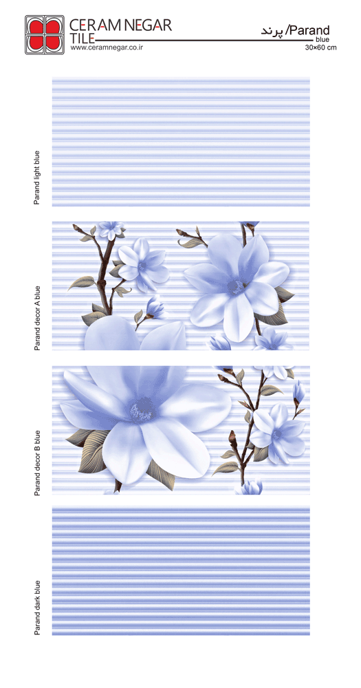 Nilofar 30×60 blue shiny