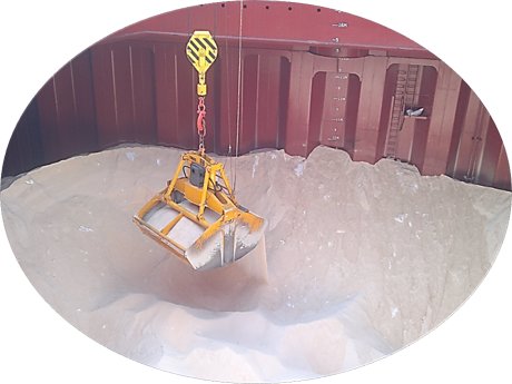 مواد غذایی، کشاورزی و دارویی