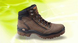 کفش کوهی برتر