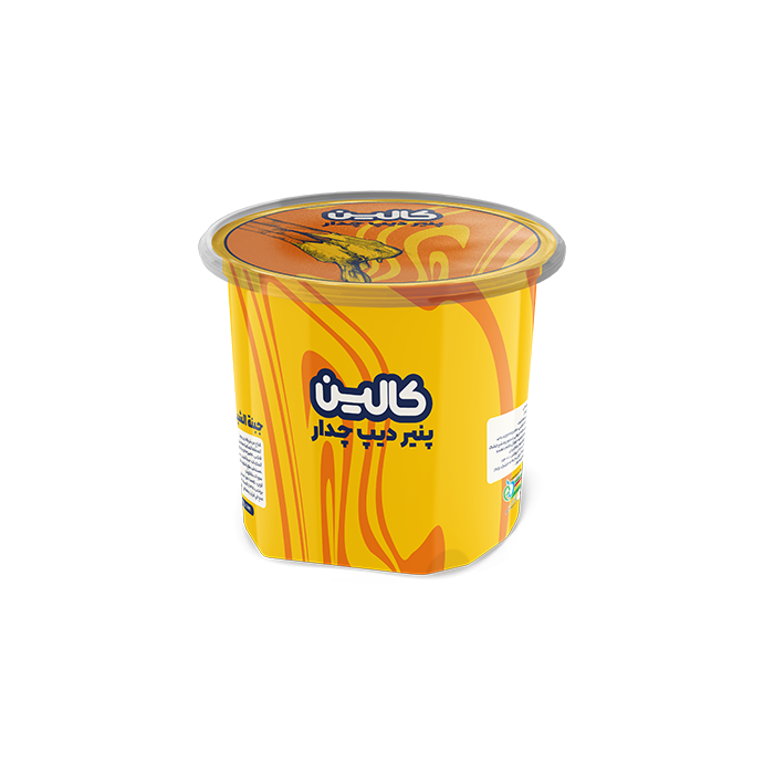 پنیر دیپ چدار ۱۰۰ گرم