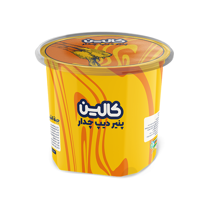 پنیر دیپ چدار ۸۰۰ گرم