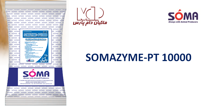 فیتاز سومازایم پی تی 10000