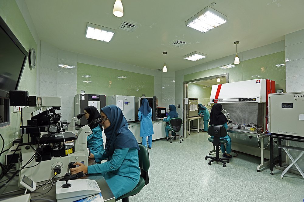 Fertility and infertility