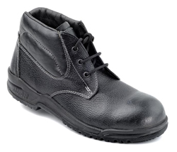 پوتین ایمنی