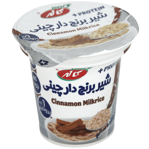 شیر برنج پروتئینه دارچینی