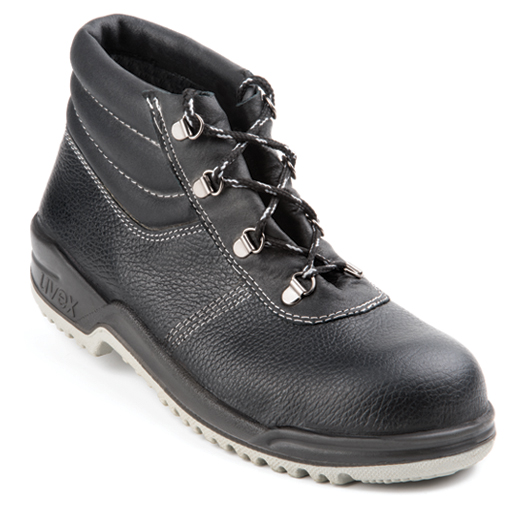 پوتین ایمنی