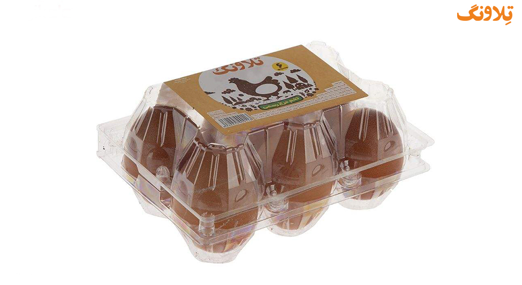 Package of 20 brown eggs