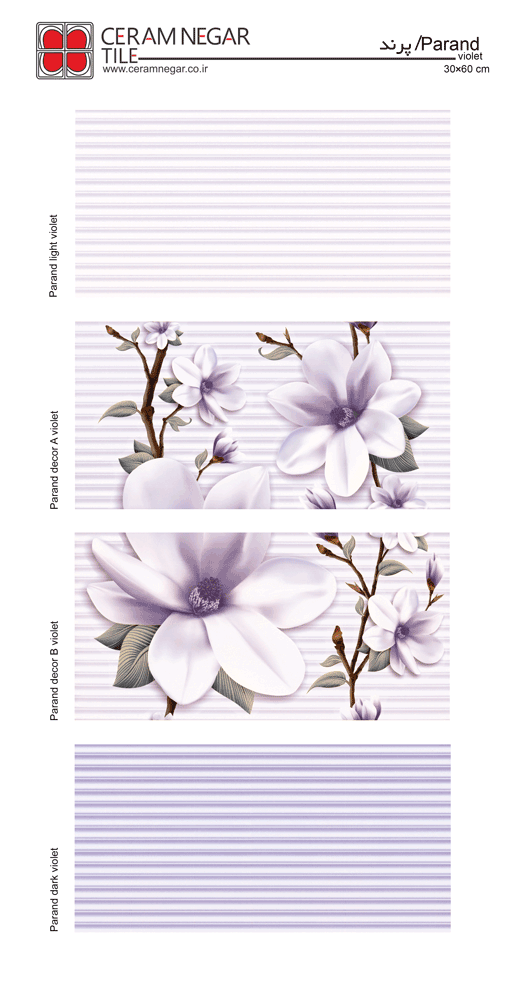 Parand 30×60 violet shiny