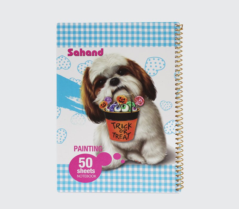 دفتر نقاشی وزیری طرح دار ۵۰ برگ سهند