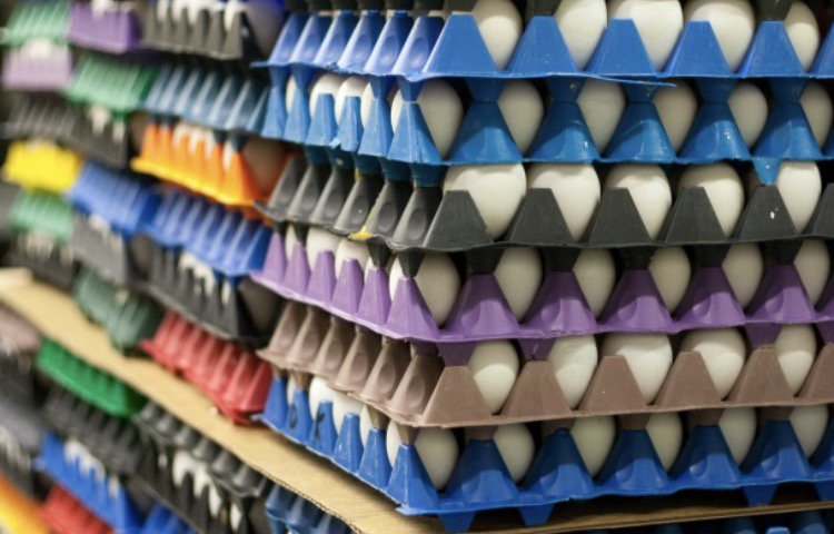 تخم مرغ ۱۸۰ عددی