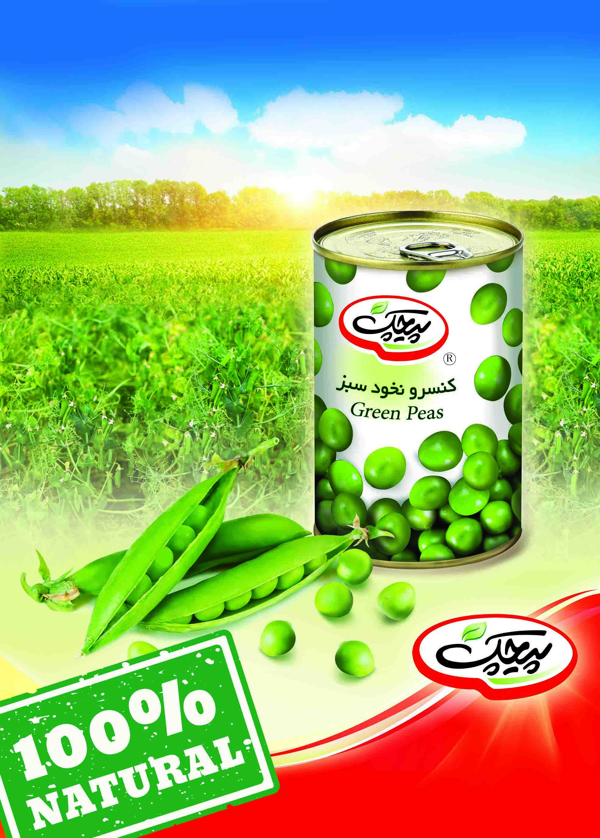 کنسرو نخود سبز