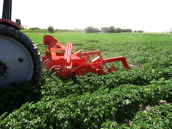 کولتیواتور شیپری CH2