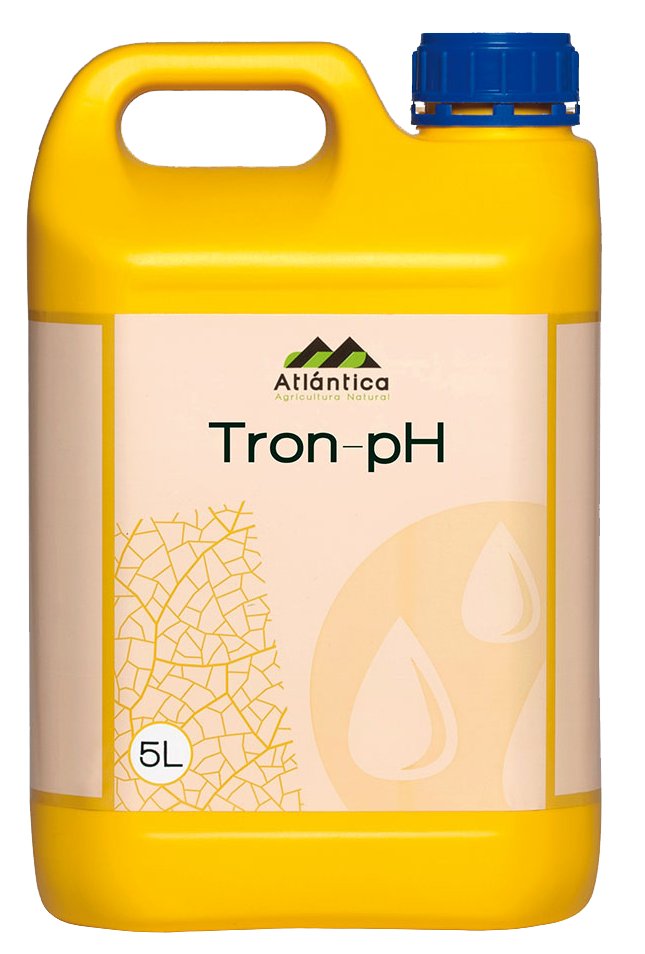 ترون - پی اچ