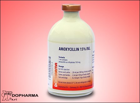 آموکسی سیلین ( ویال تزریقی )