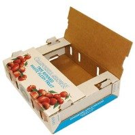 چاپ و تولید کارتن میوه صادراتی