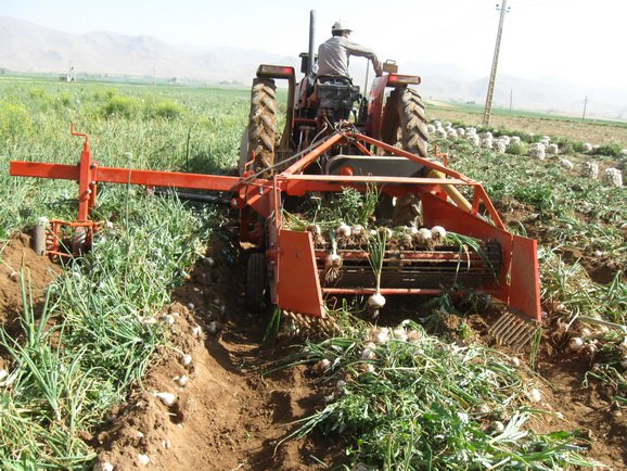 Onion and Garlic Digger RE1-H