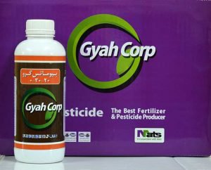 بیوماتس گرو