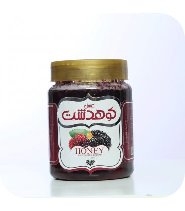 Chutot Honey in Koohdasht 600 g
