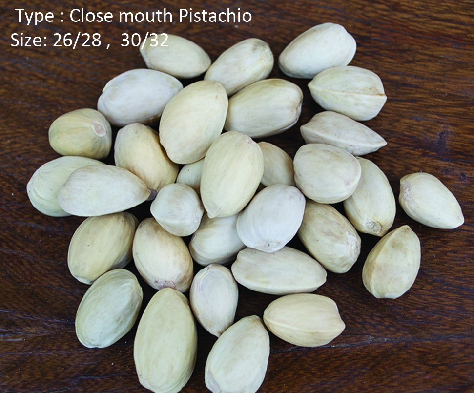 close mouth pistachio