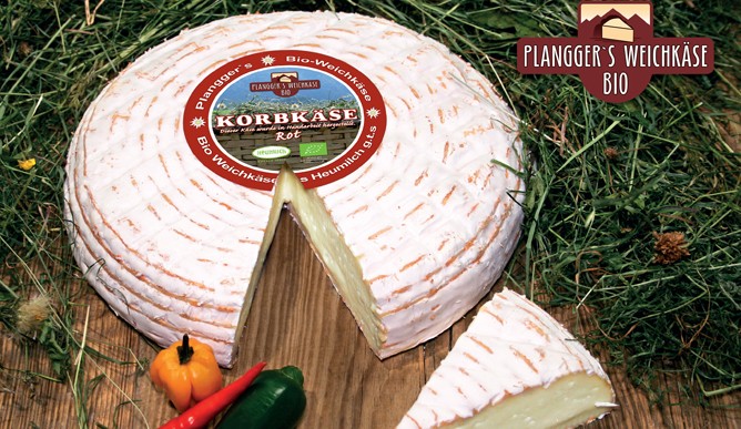 Plangger's organic large basket cheese red