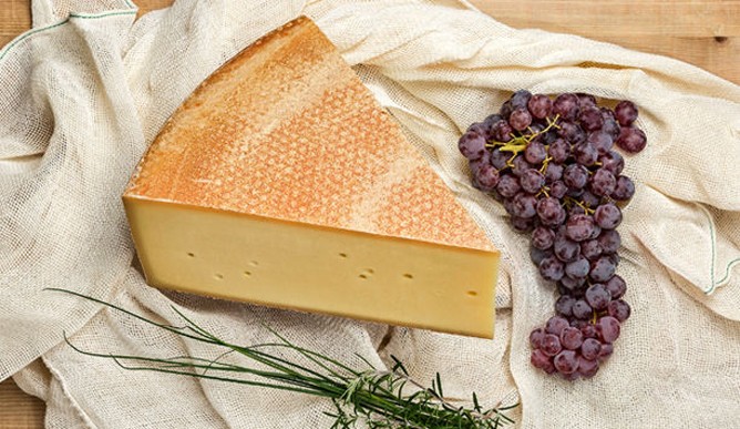 پنیر ف م مزارع کوهی