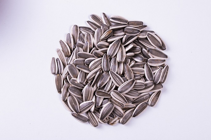 تخمه کدو و آفتاب گردان