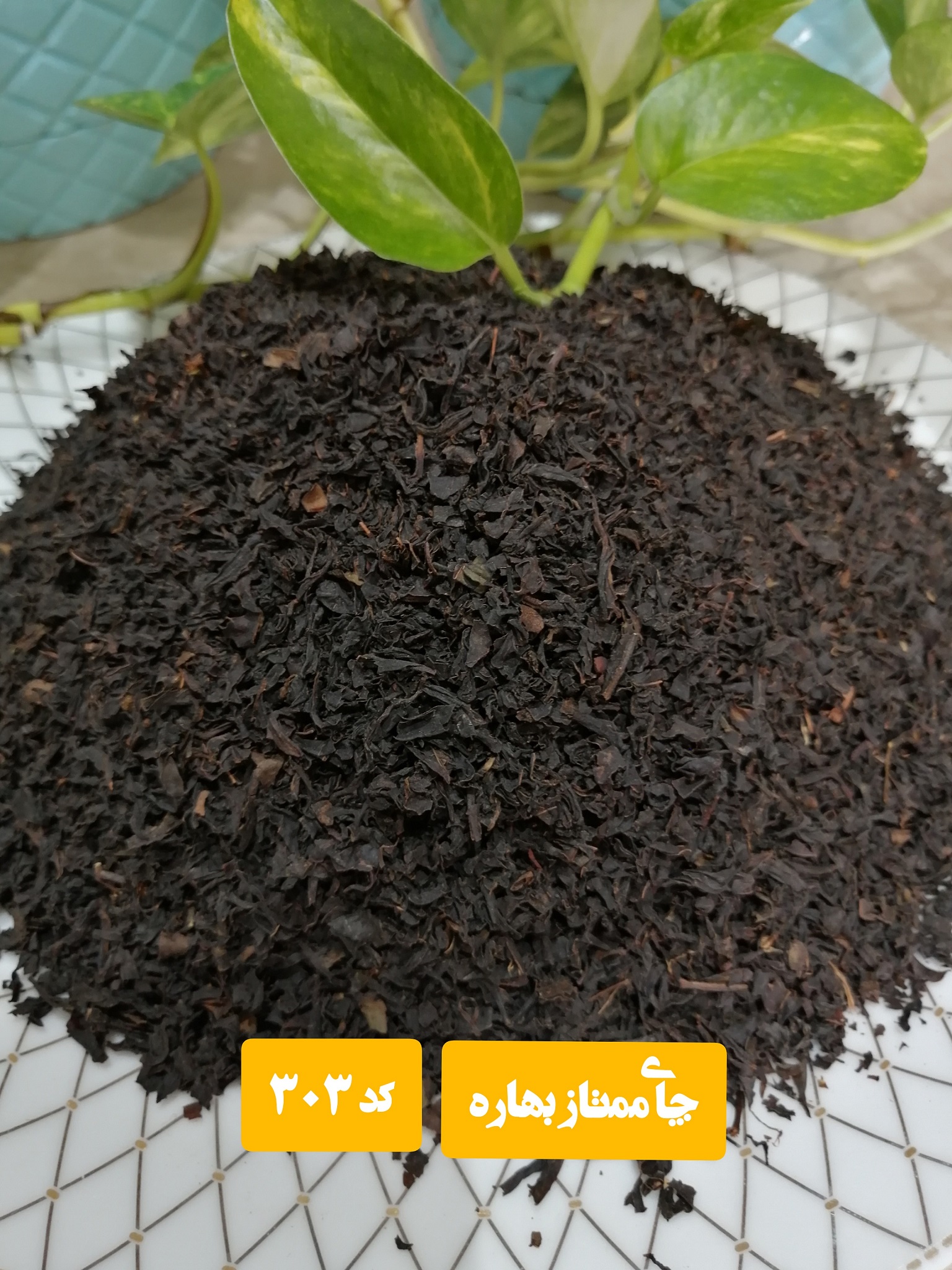 چای ممتاز بهاره گیلان