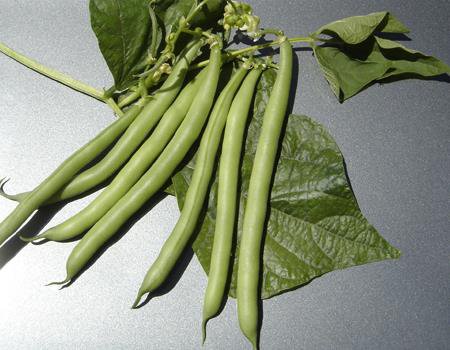 Sunrise green beans
