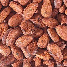 دانه کاکائو