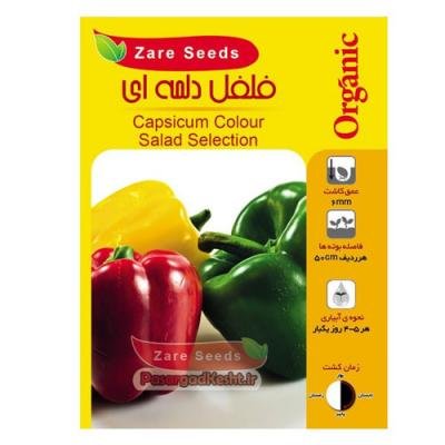 Seeds of colorful chili pepper