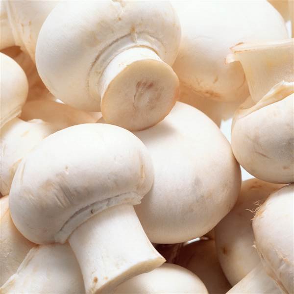 5 kg bulk mushrooms