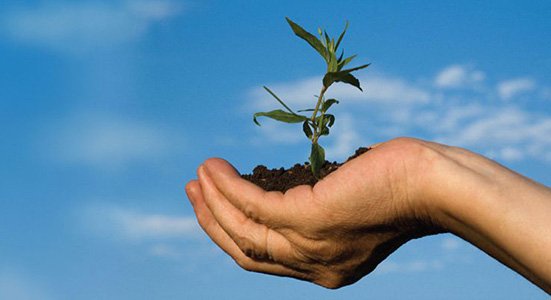 بیمه نامه جامع عمر و پس انداز