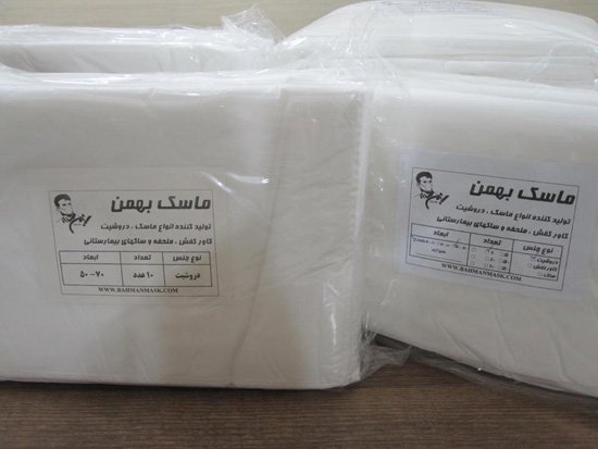 disposable sanitary pad