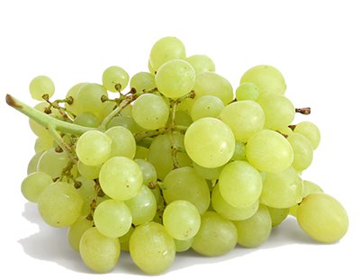کنسانتره انگور سفید