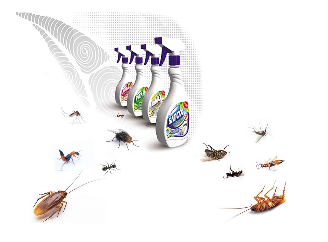 Herbal insecticide spray