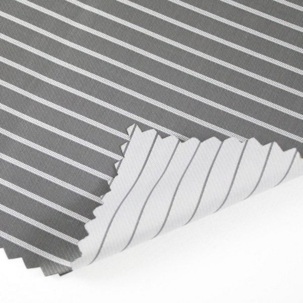 Painter diplomat white-tipped tip