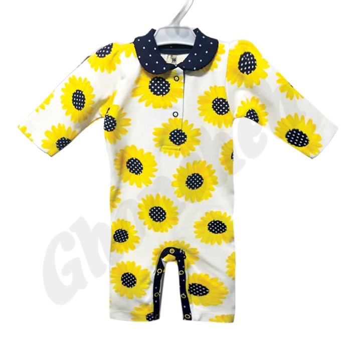 بادی سرهمی آفتابگردان